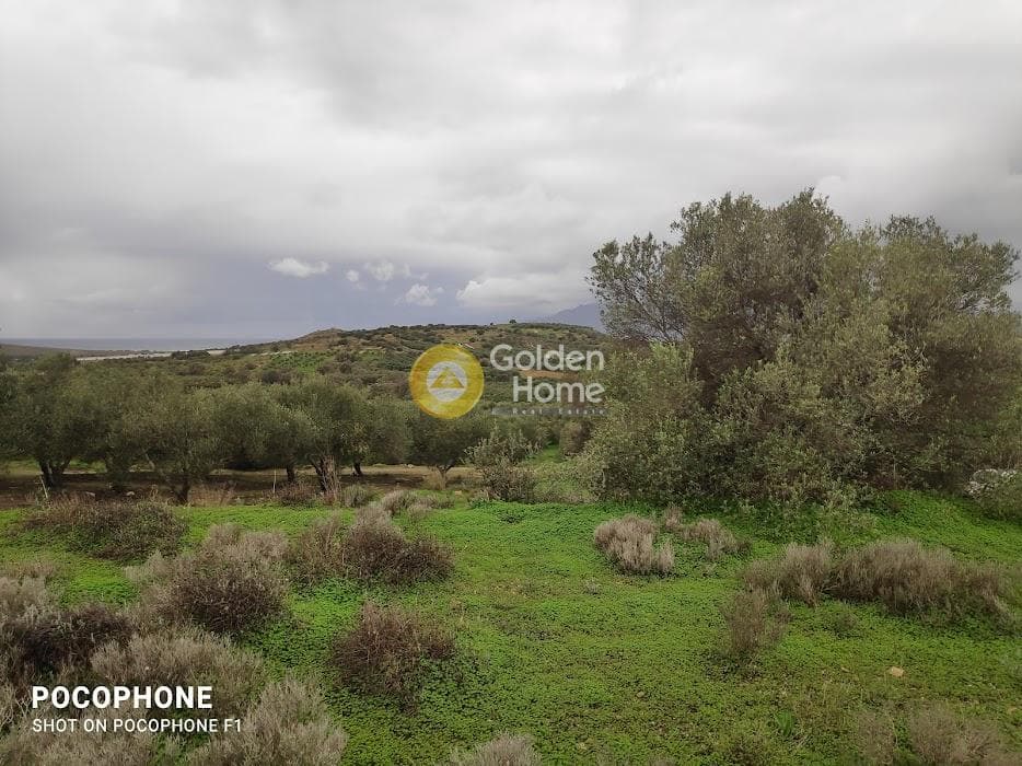 Αγροτεμάχιο στην Καμηλάρι, Τυμπάκι — Φωτογραφία 10 από 16