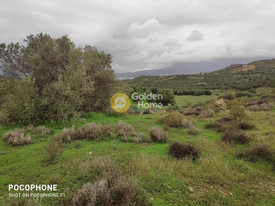 Αγροτεμάχιο στην Καμηλάρι, Τυμπάκι — Φωτογραφία 12 από 16