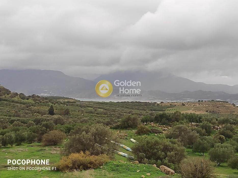 Αγροτεμάχιο στην Καμηλάρι, Τυμπάκι — Φωτογραφία 14 από 16