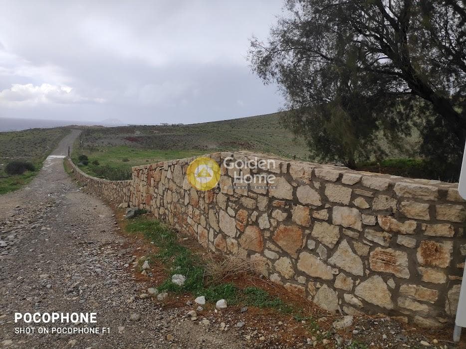 Αγροτεμάχιο στην Καλαμάκι, Τυμπάκι — Φωτογραφία 5 από 15