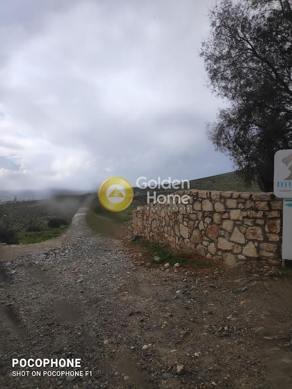 Αγροτεμάχιο στην Καλαμάκι, Τυμπάκι — Φωτογραφία 6 από 15