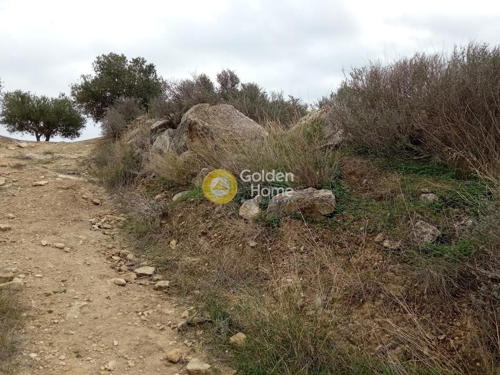 Αγροτεμάχιο στην Νέο Καλαμάκι, Τυμπάκι — Φωτογραφία 4 από 11