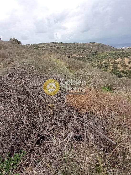 Αγροτεμάχιο στην Νέο Καλαμάκι, Τυμπάκι — Φωτογραφία 5 από 11