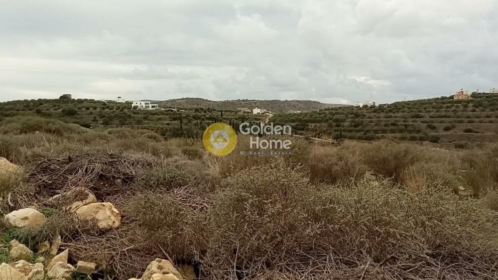 Αγροτεμάχιο στην Νέο Καλαμάκι, Τυμπάκι — Φωτογραφία 7 από 11