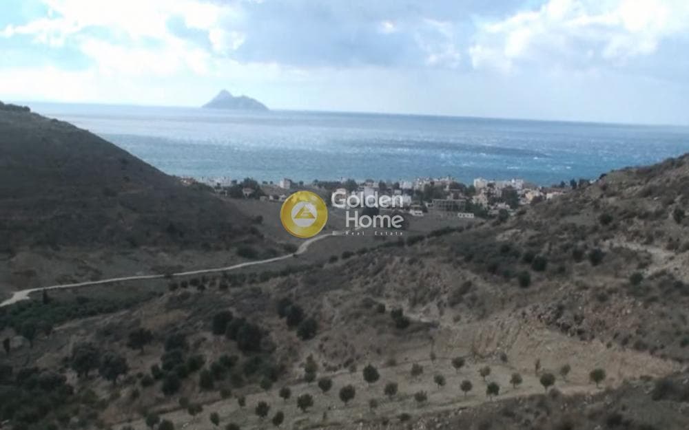 Αγροτεμάχιο στην Νέο Καλαμάκι, Τυμπάκι — Φωτογραφία 9 από 11