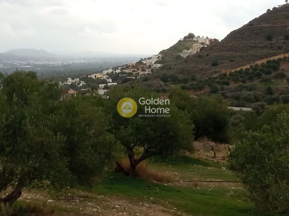 Αγροτεμάχιο στην Καμηλάρι, Τυμπάκι — Φωτογραφία 11 από 22