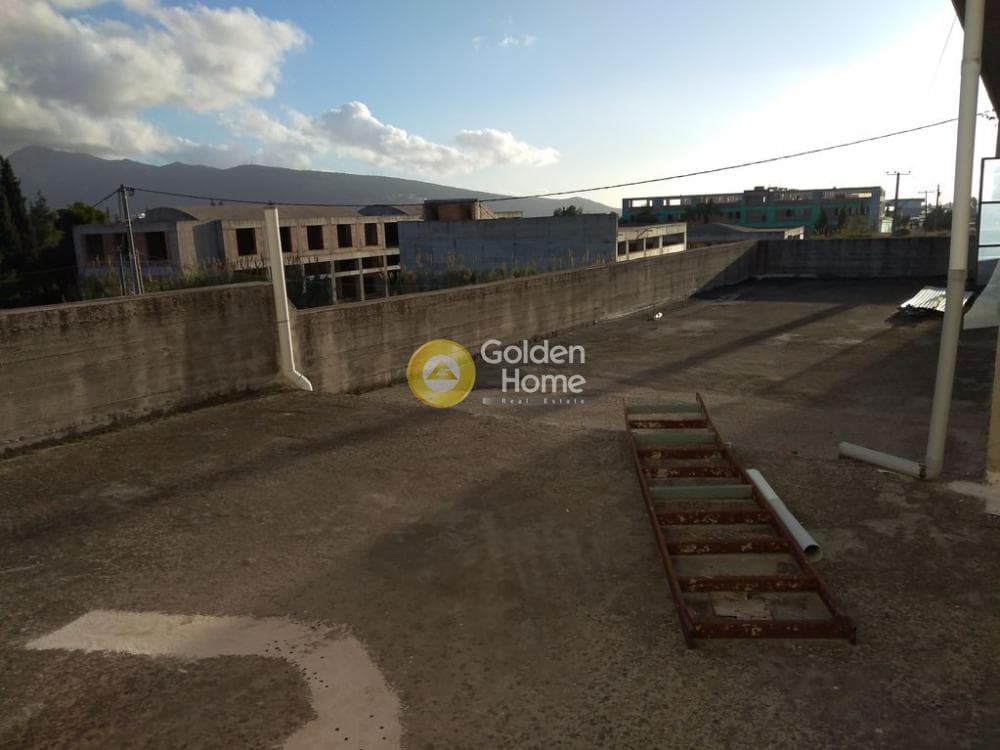 Industrial Space in Oikismos Pontion, Agios Stefanos — Photo 10 of 13