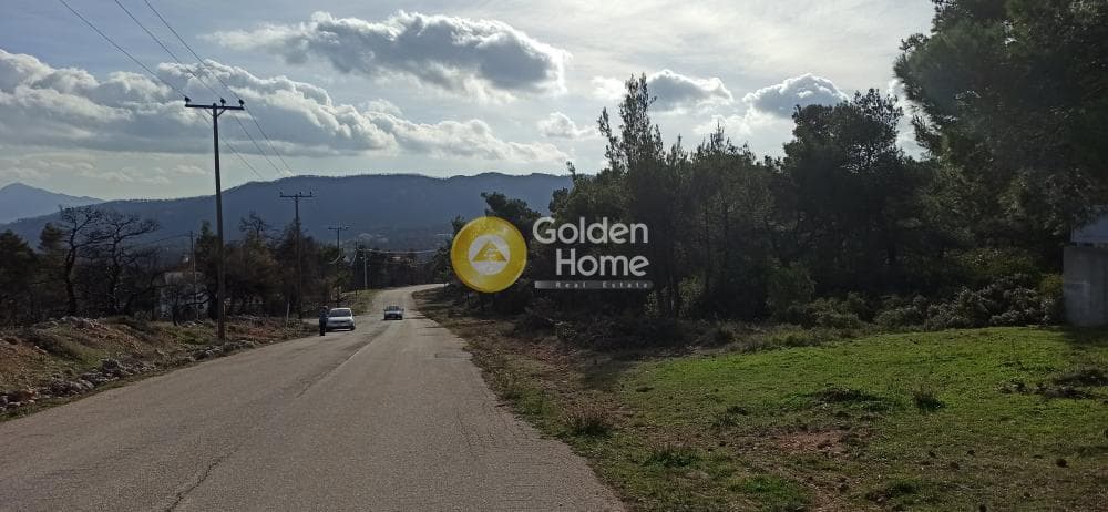 Building Plot in Agia Triada, Afidnes — Photo 4 of 7
