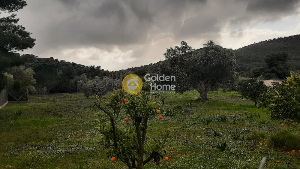 Αγροτεμάχιο στην Νταού Πεντέλη, Πικέρμι — Φωτογραφία 3 από 4