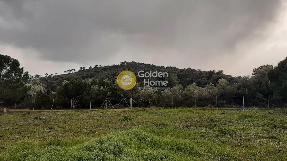 Αγροτεμάχιο στην Νταού Πεντέλη, Πικέρμι — Φωτογραφία 2 από 4