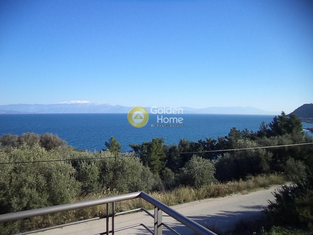 Μονοκατοικία στην Πλάτανος, Ακράτα — Φωτογραφία 1 από 14