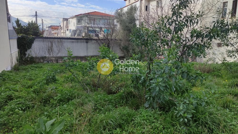 Building Plot in Gargittos, Gerakas — Photo 2 of 3