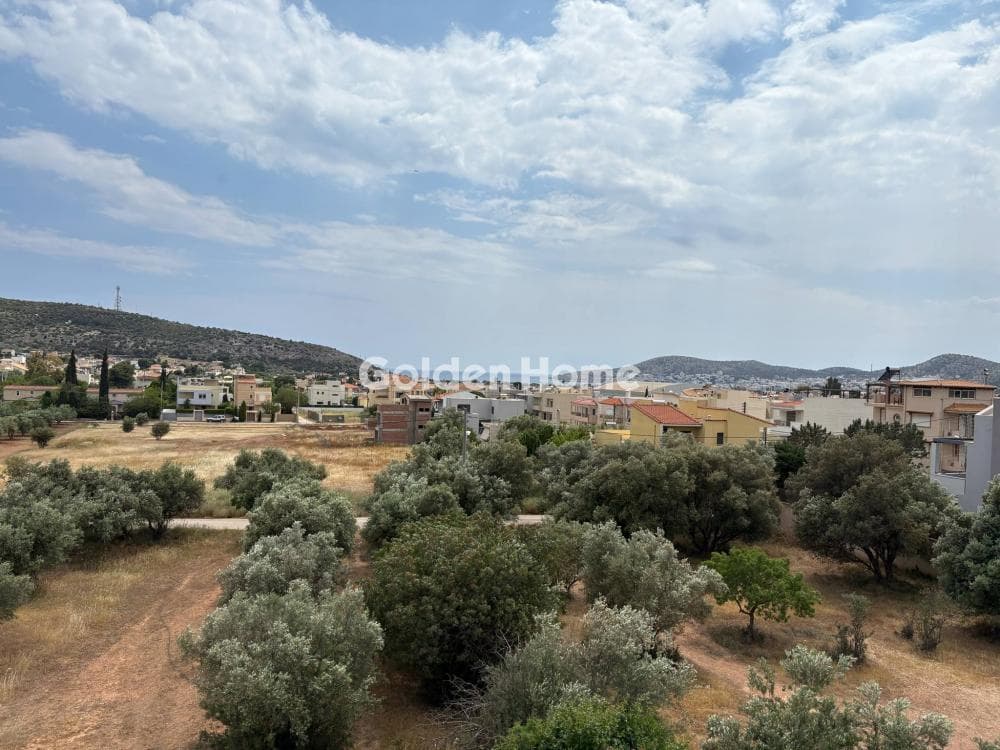 Μονοκατοικία στην Κόρμπι, Βάρη - Βάρκιζα — Φωτογραφία 29 από 34