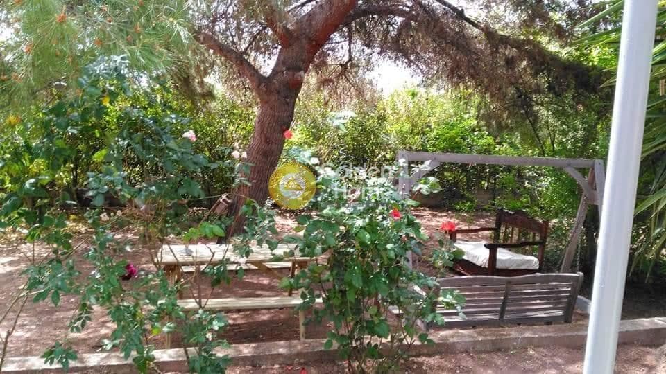 Μονοκατοικία στην Αγία Μαρίνα, Κορωπί — Φωτογραφία 2 από 36