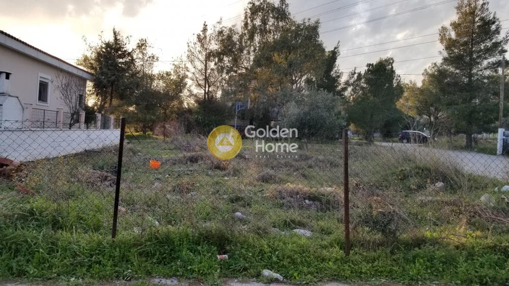 Parcel in Megala Sxoinia A, Acharnes — Photo 2 of 3