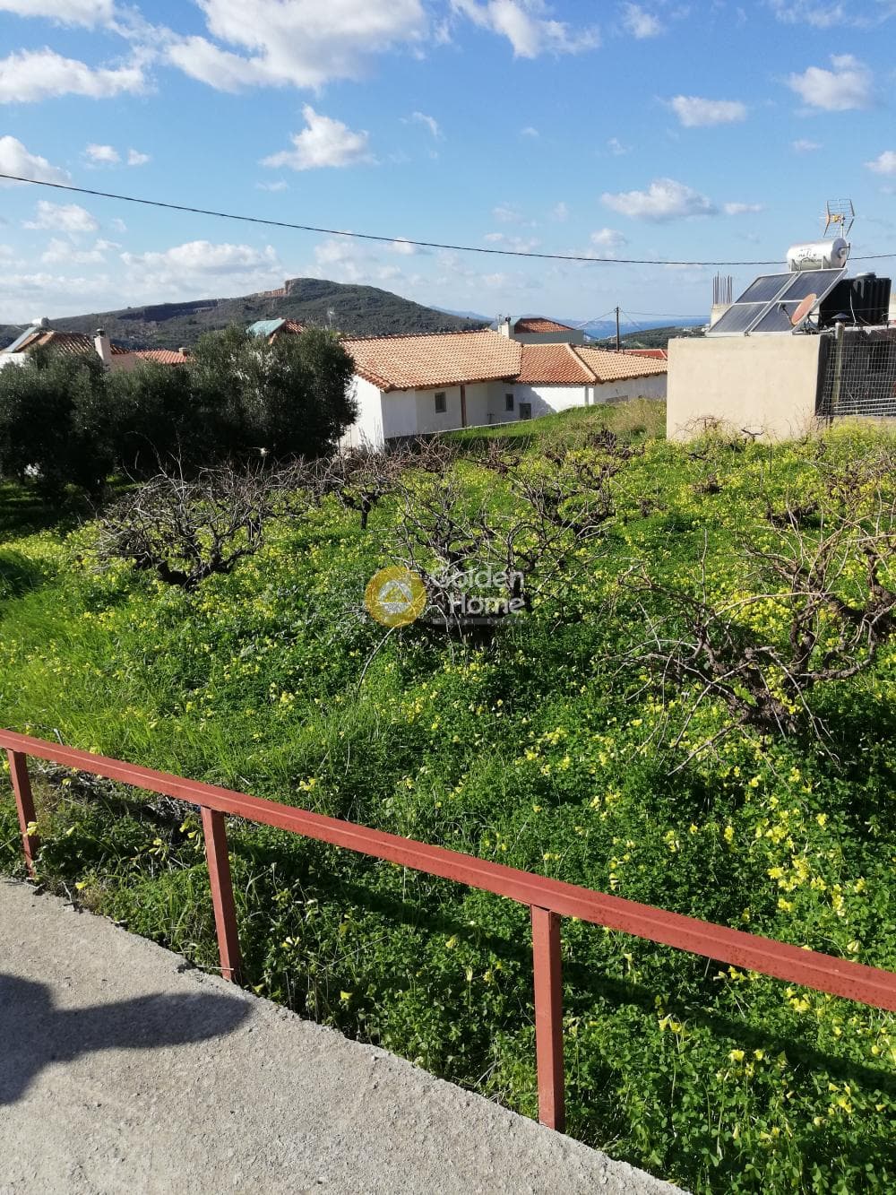 Building Plot in Elia, Episkopi — Photo 4 of 11
