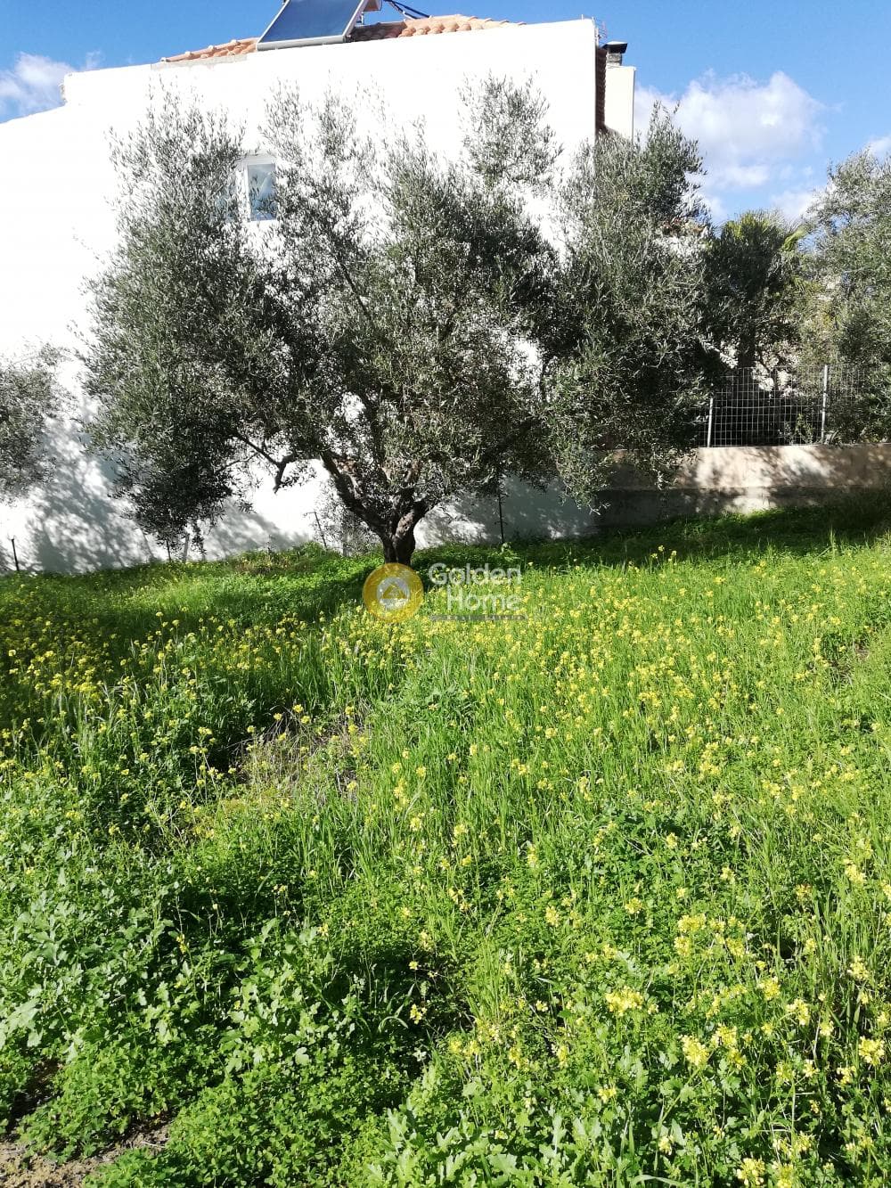 Building Plot in Elia, Episkopi — Photo 9 of 11