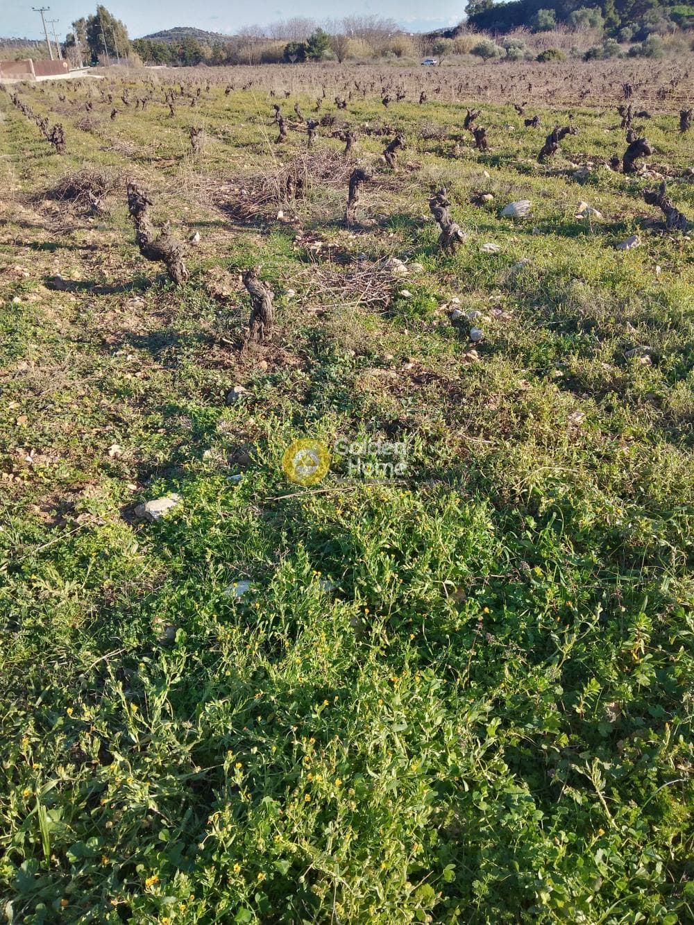 Parcel in Kato Charvati, Pallini — Photo 4 of 6