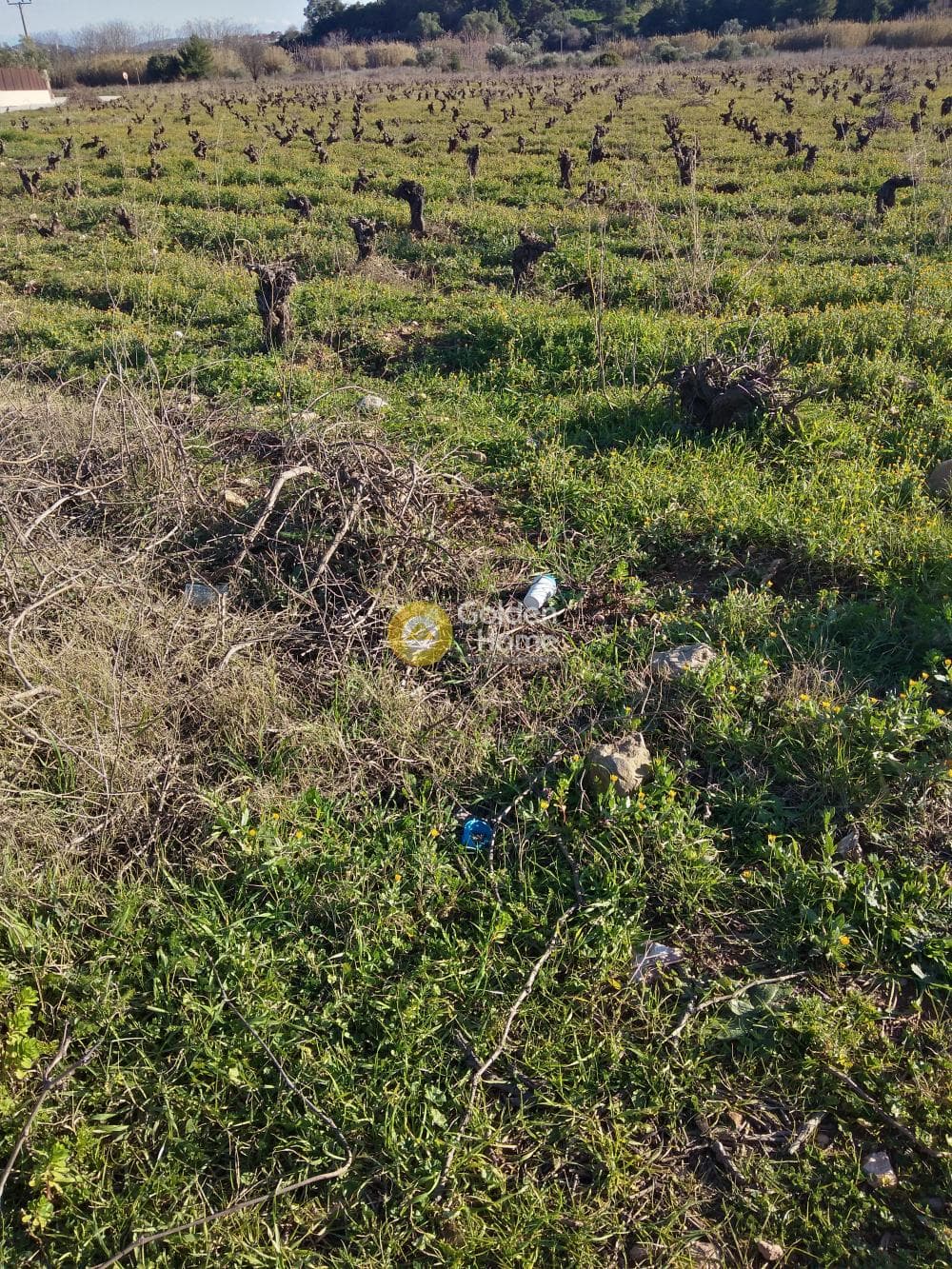 Parcel in Kato Charvati, Pallini — Photo 5 of 6