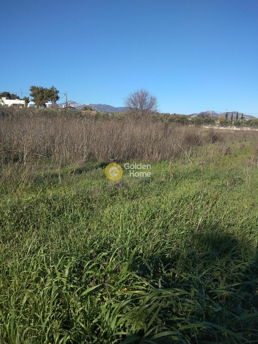 Parcel in Kesaria, Pallini — Photo 2 of 10