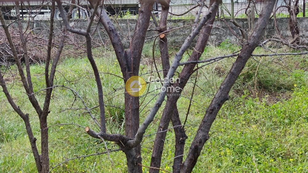 Οικόπεδο στην Μεγάλα Σχοινία Α, Αχαρνές — Φωτογραφία 1 από 3