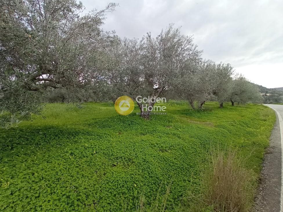 Αγροτεμάχιο στην Κουσές, Μοίρες — Φωτογραφία 8 από 14