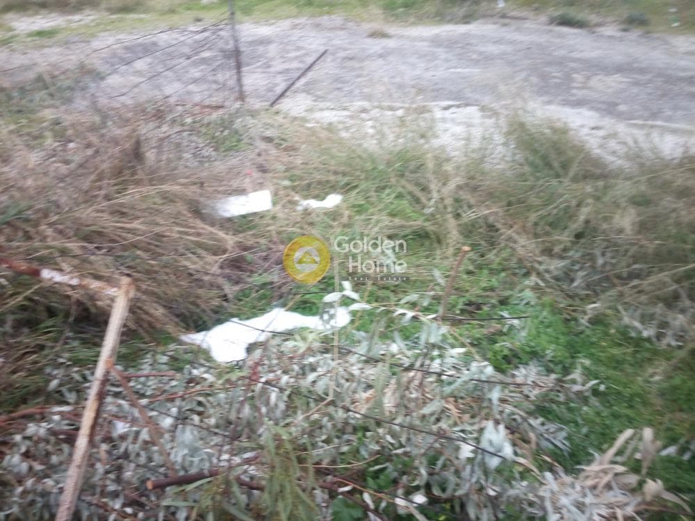 Οικόπεδο στην Ποταμιά, Άγιος Δημήτριος — Φωτογραφία 3 από 4