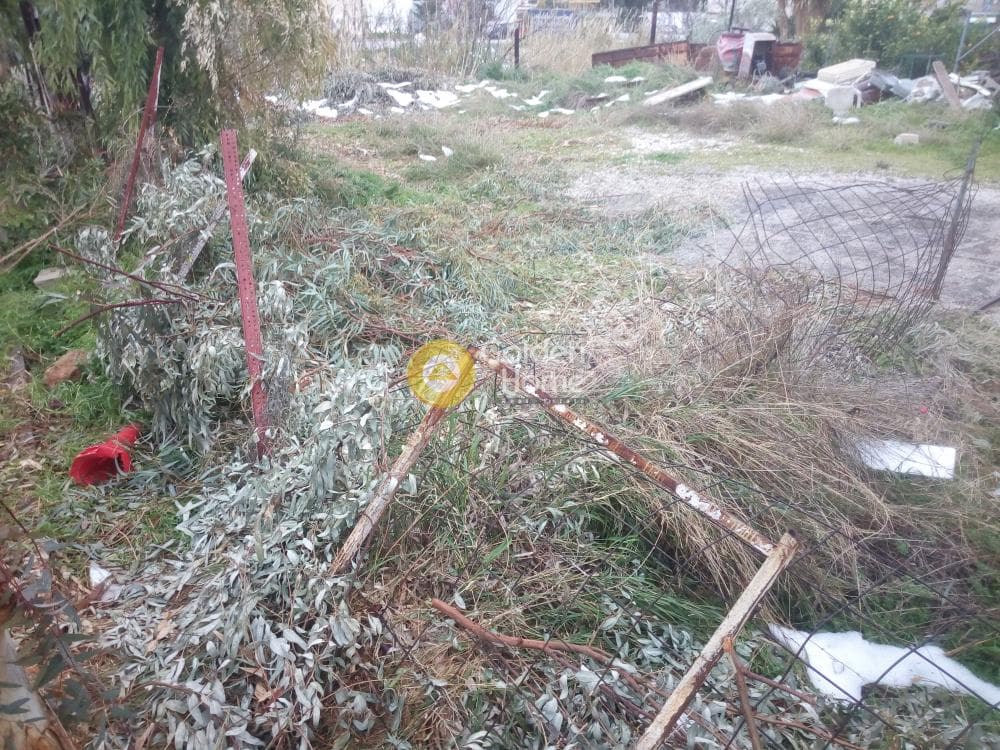 Οικόπεδο στην Ποταμιά, Άγιος Δημήτριος — Φωτογραφία 4 από 4