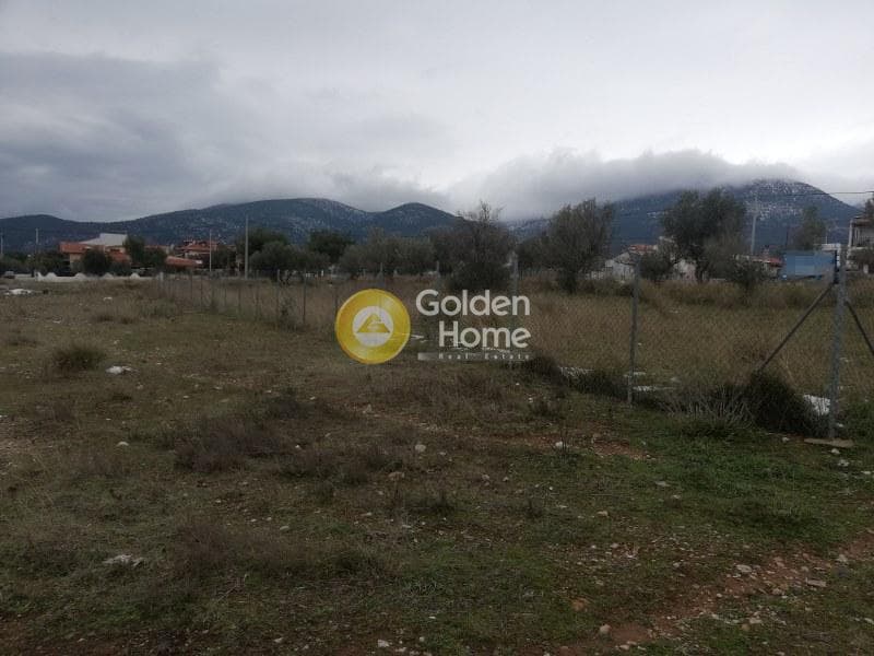 Οικόπεδο στην Μεγάλα Σχοινία Α, Αχαρνές — Φωτογραφία 4 από 4