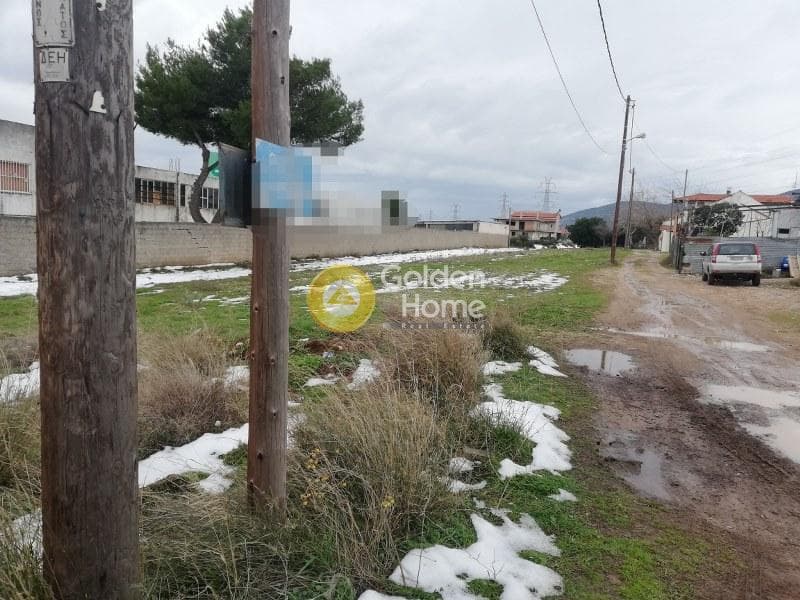 Αγροτεμάχιο στην Μεγάλα Σχοινία Α, Αχαρνές — Φωτογραφία 3 από 3