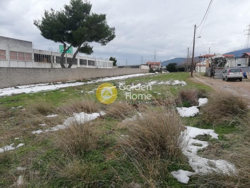 Αγροτεμάχιο στην Μεγάλα Σχοινία Α, Αχαρνές — Φωτογραφία 1 από 3