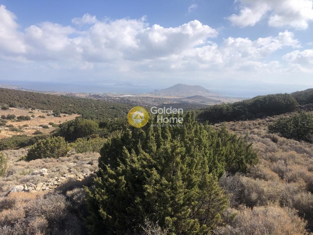Parcel in Lefkes, Paros — Photo 1 of 8