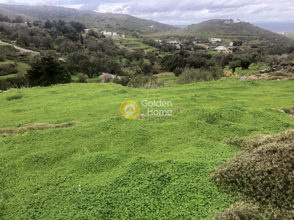 Parcel in Moni Christou Dasous, Paros — Photo 5 of 10
