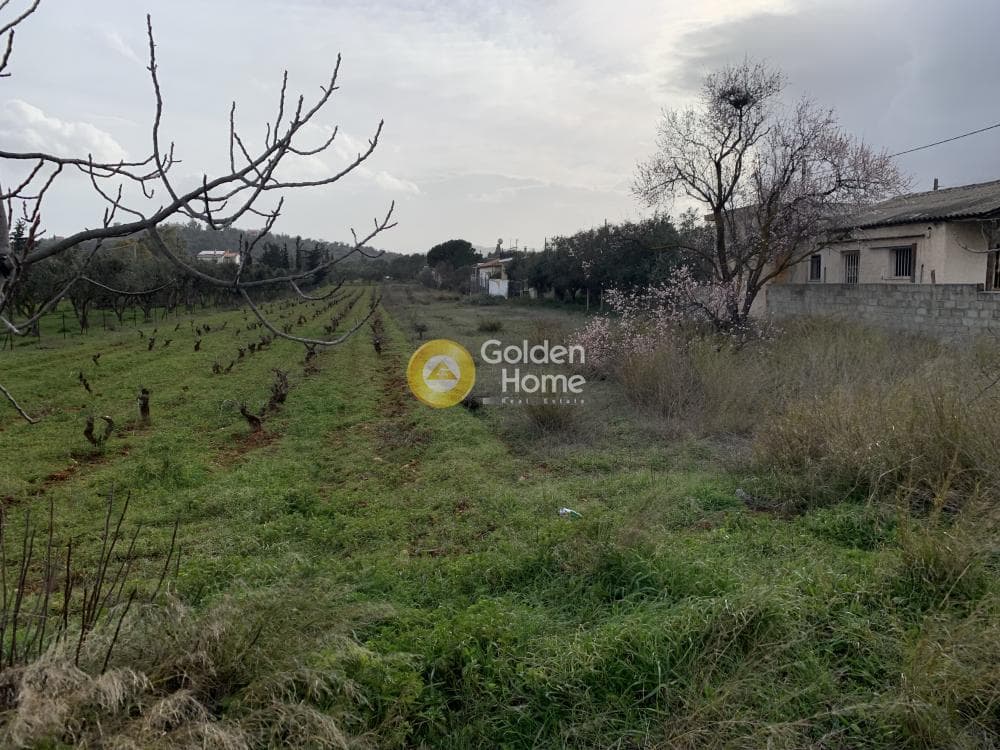 Parcel in Center, Koropi — Photo 2 of 2