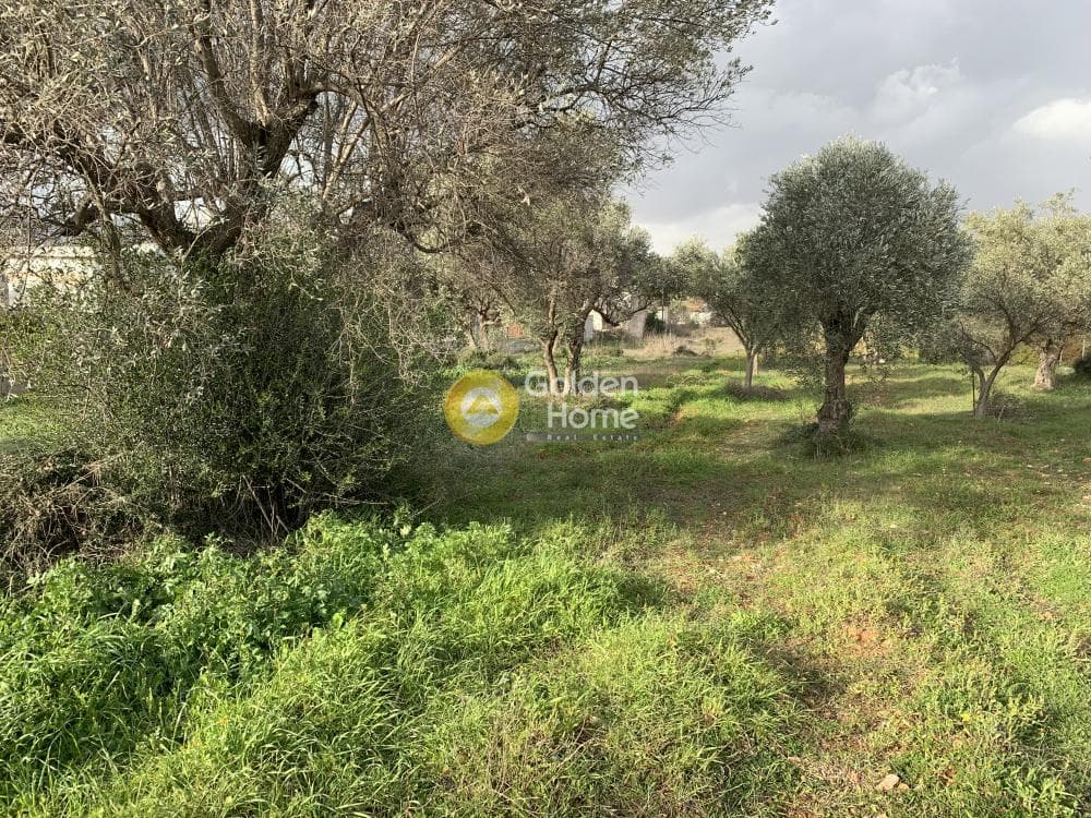 Parcel in Center, Koropi — Photo 1 of 2