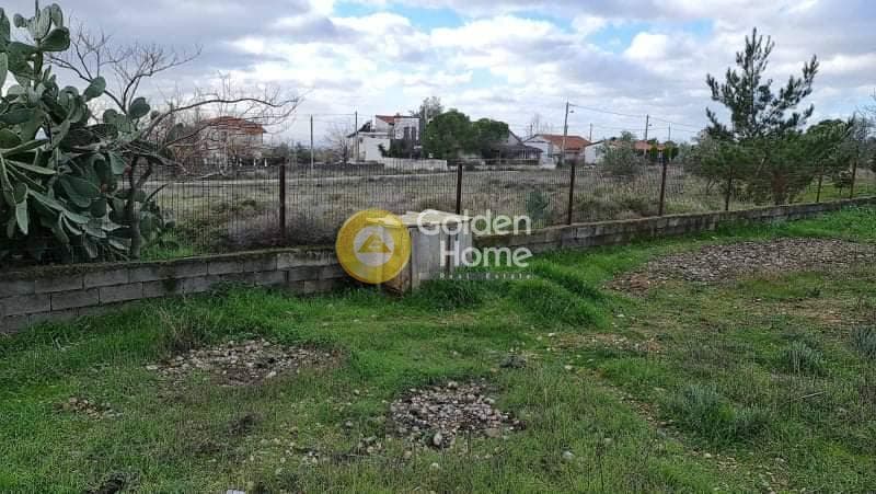 Building Plot in Megala Sxoinia A, Acharnes — Photo 2 of 2