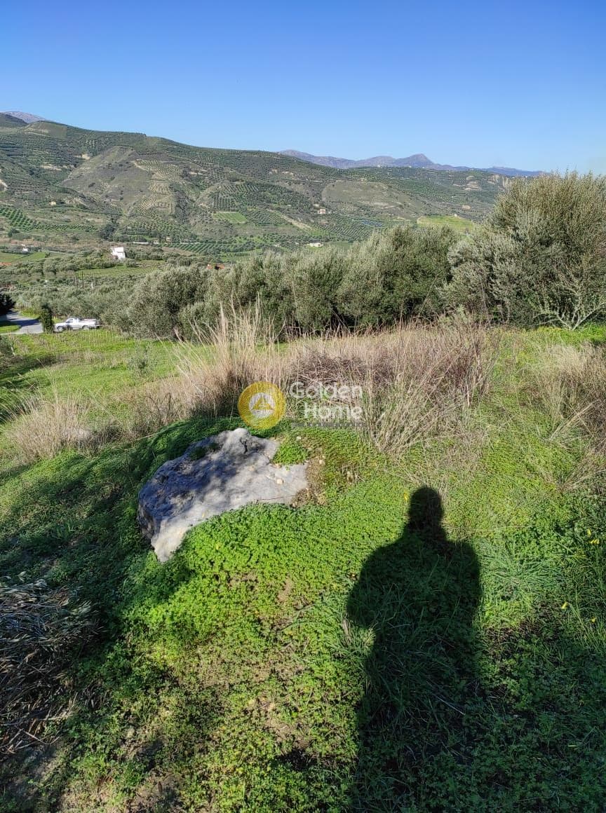 Building Plot in Agios Sillas, Archanes — Photo 1 of 2