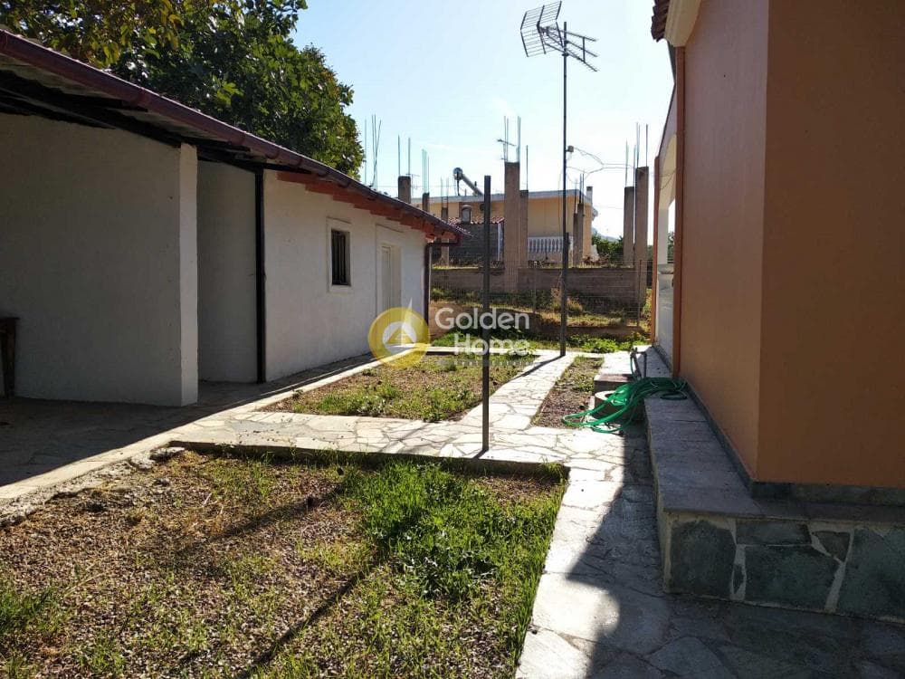 Μονοκατοικία στην Μουρίκι, Θήβα — Φωτογραφία 13 από 13