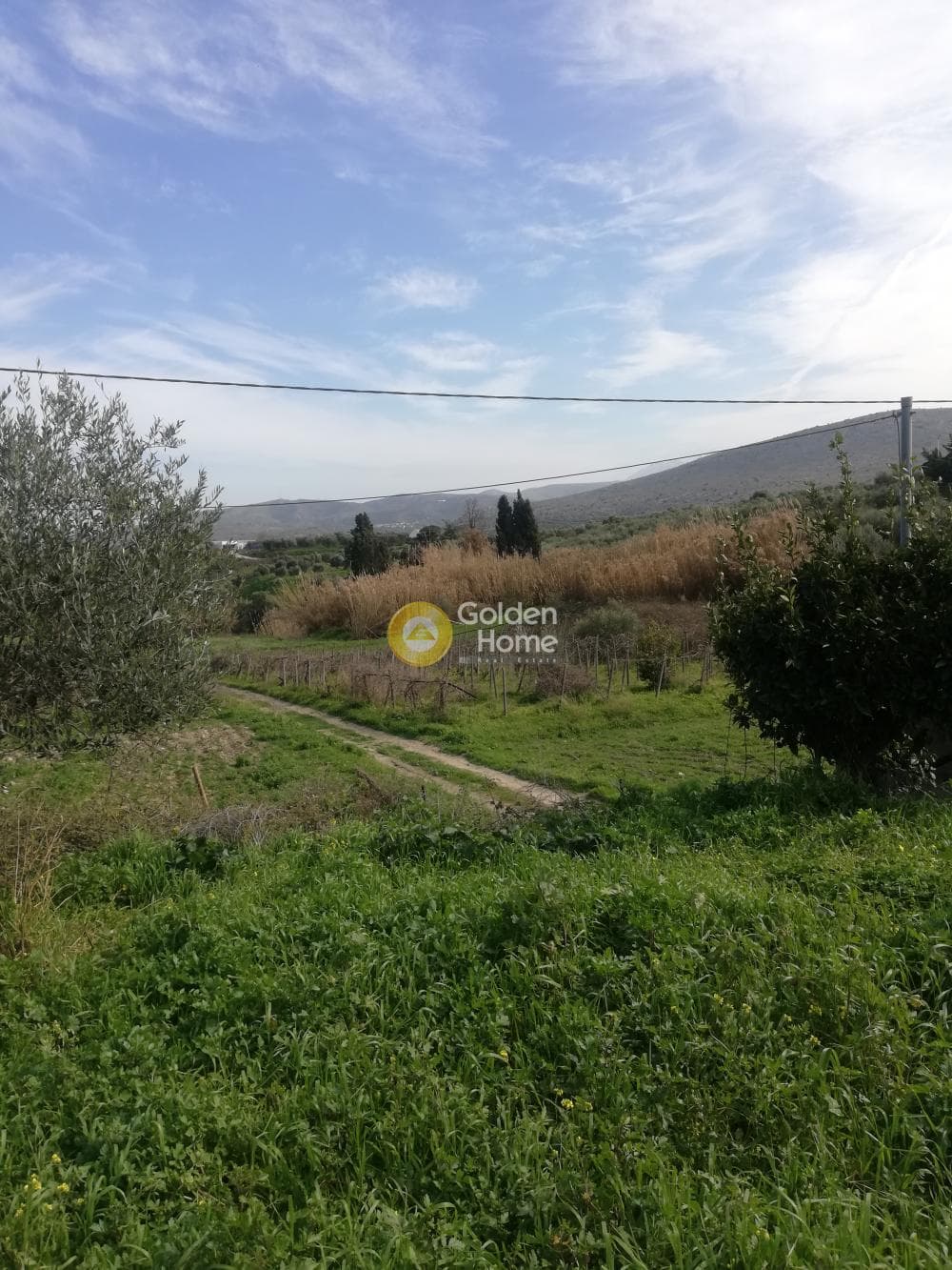 Building Plot in Sgourokefali, Episkopi — Photo 21 of 35