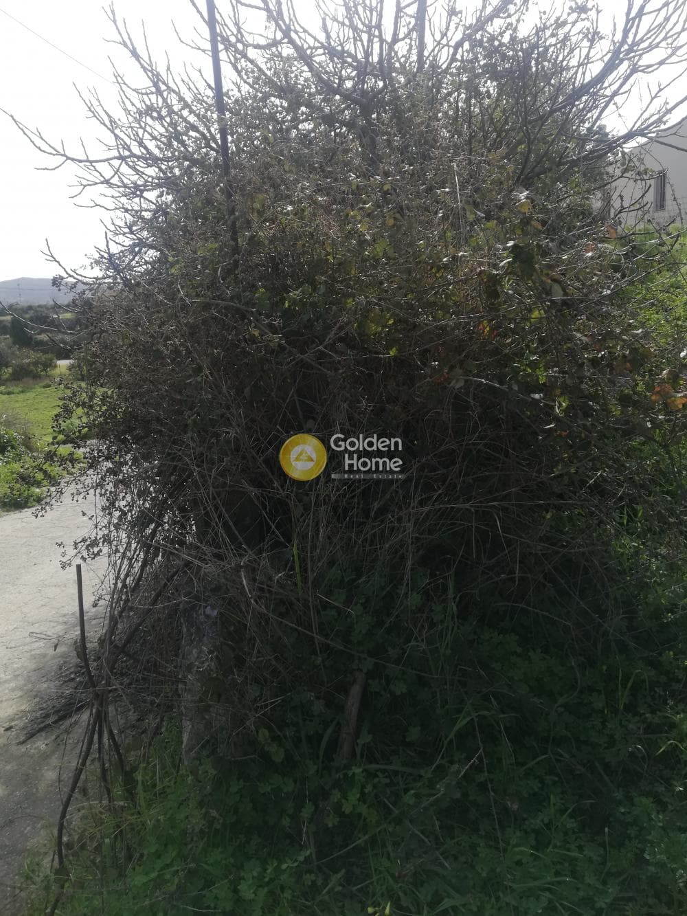 Building Plot in Sgourokefali, Episkopi — Photo 34 of 35