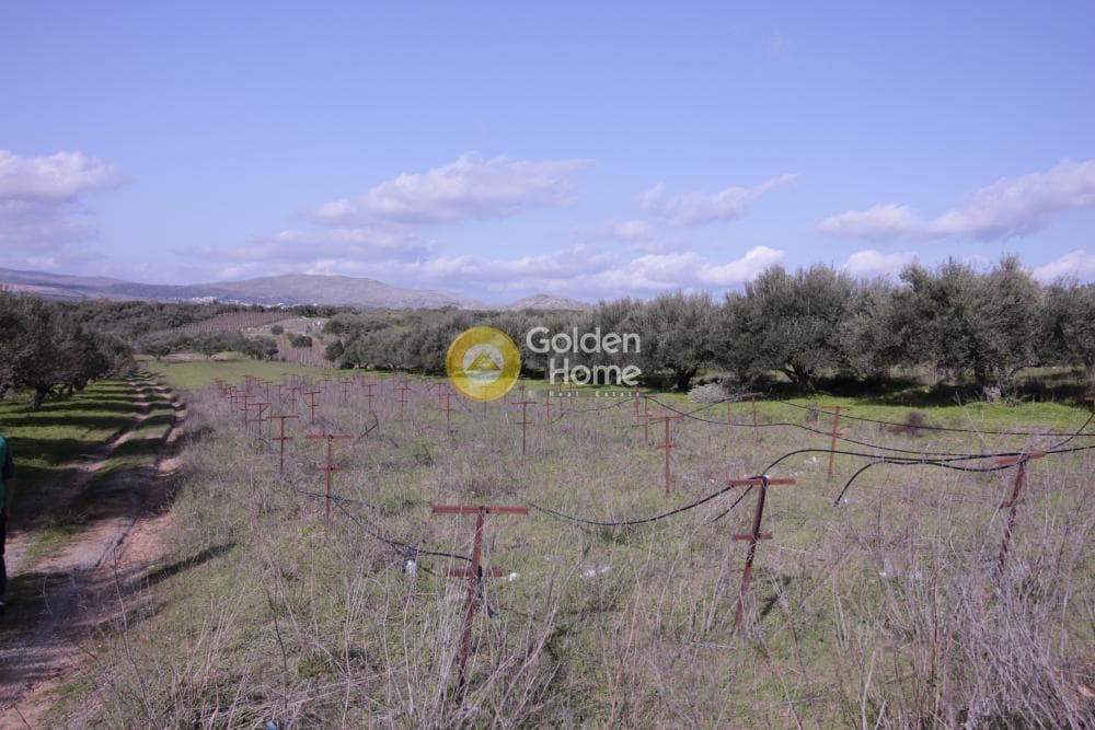 Building Plot in Roussochoria, Arkalochori — Photo 6 of 38