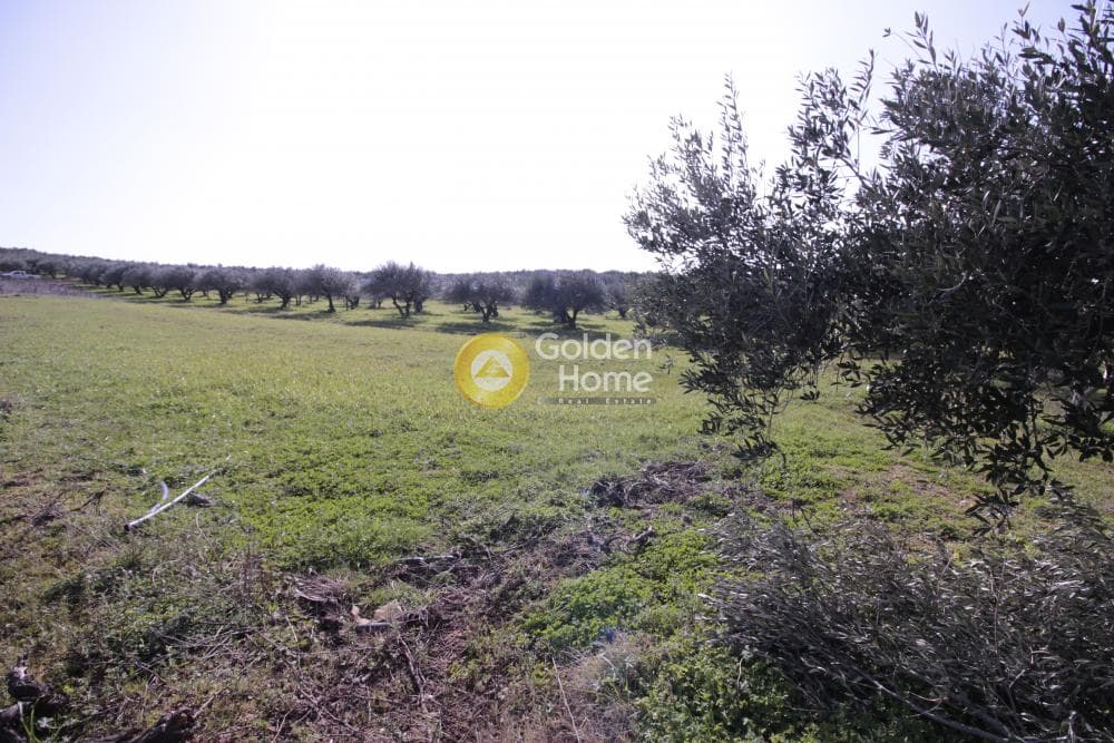 Building Plot in Roussochoria, Arkalochori — Photo 27 of 38
