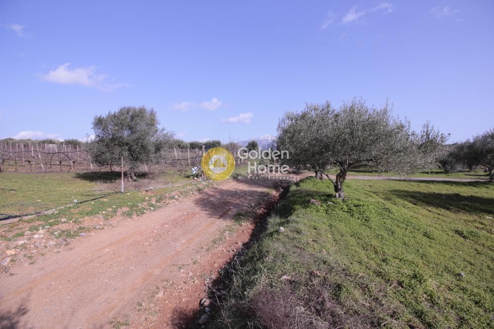 Building Plot in Roussochoria, Arkalochori — Photo 35 of 38