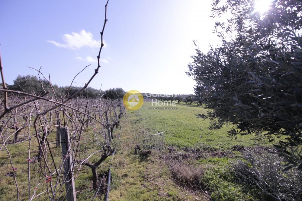 Building Plot in Roussochoria, Arkalochori — Photo 36 of 38