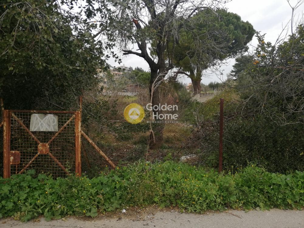Building Plot in Karouzi, Pallini — Photo 2 of 6