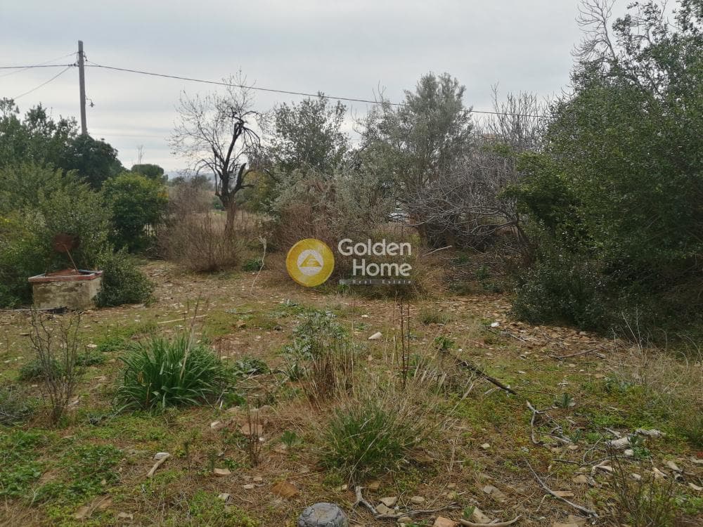Building Plot in Karouzi, Pallini — Photo 5 of 6