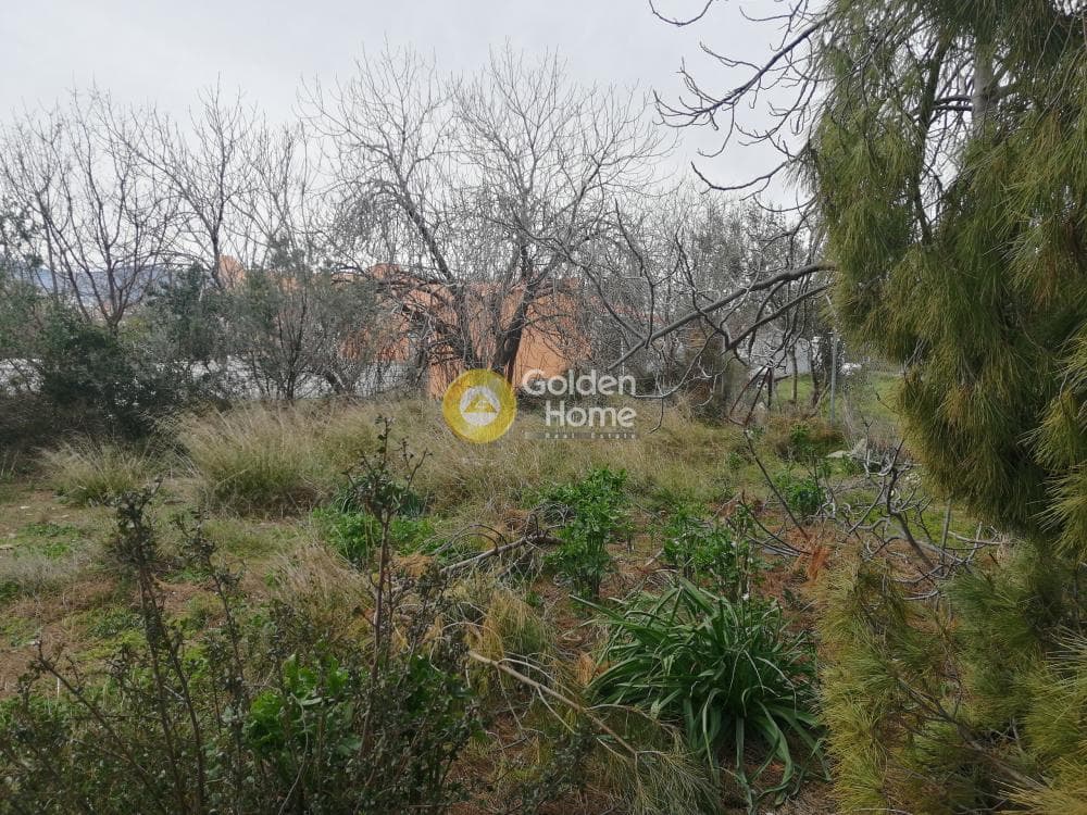 Building Plot in Karouzi, Pallini — Photo 4 of 6