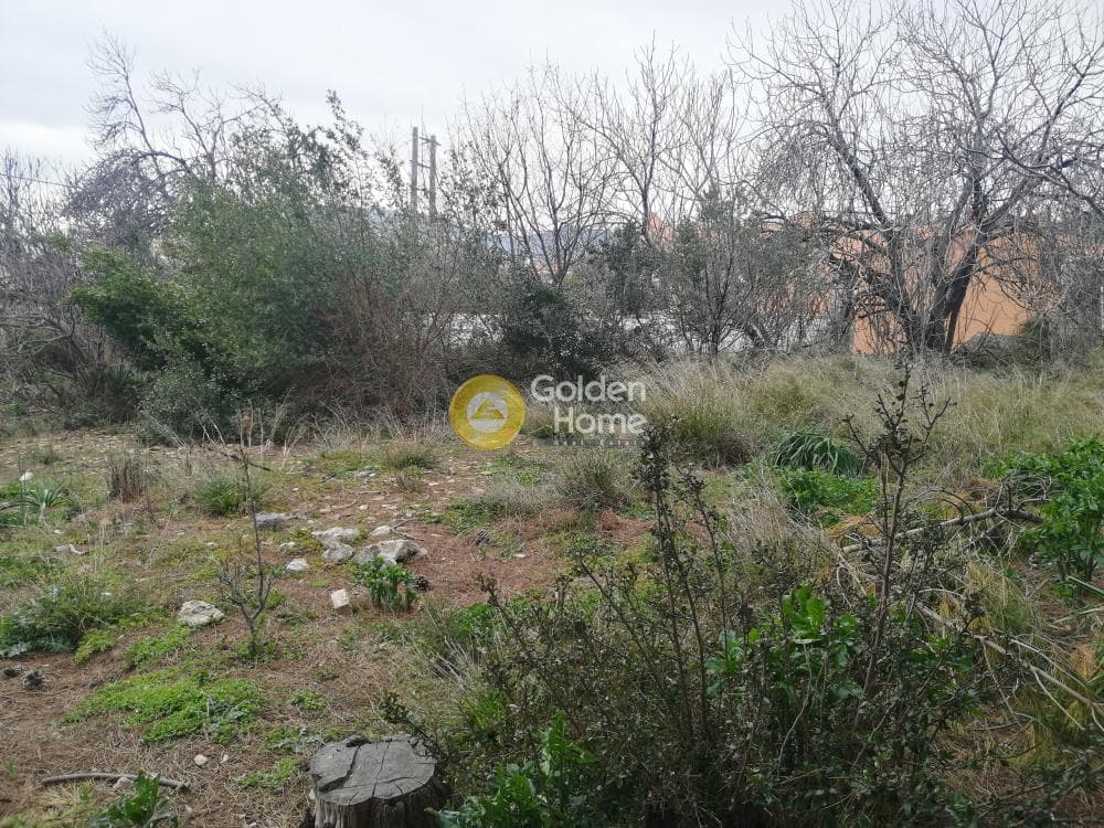 Building Plot in Karouzi, Pallini — Photo 3 of 6