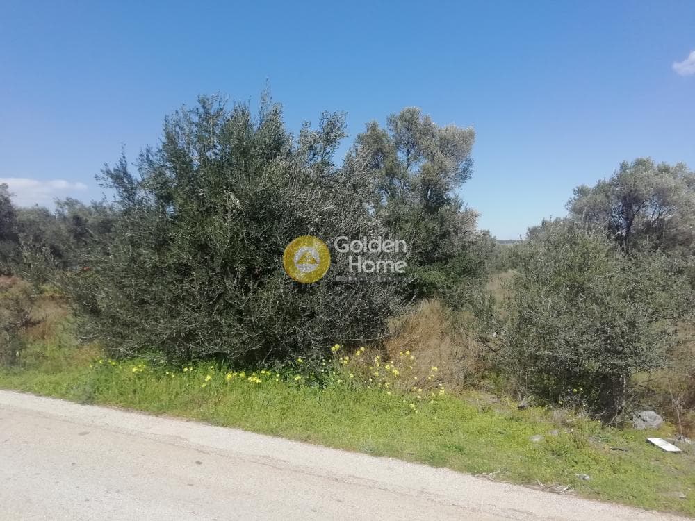 Αγροτεμάχιο στην Αγία Μαρίνα, Παιανία — Φωτογραφία 1 από 5
