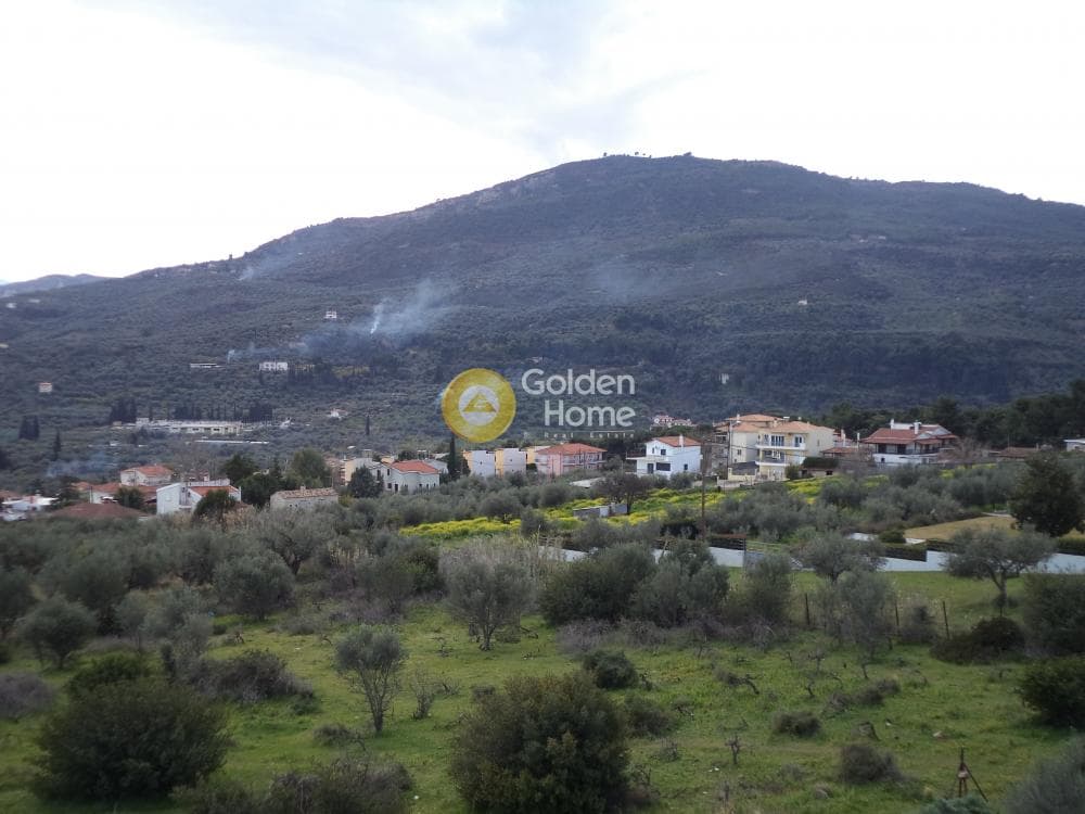 Μονοκατοικία στην Κέντρο, Ακράτα — Φωτογραφία 14 από 14